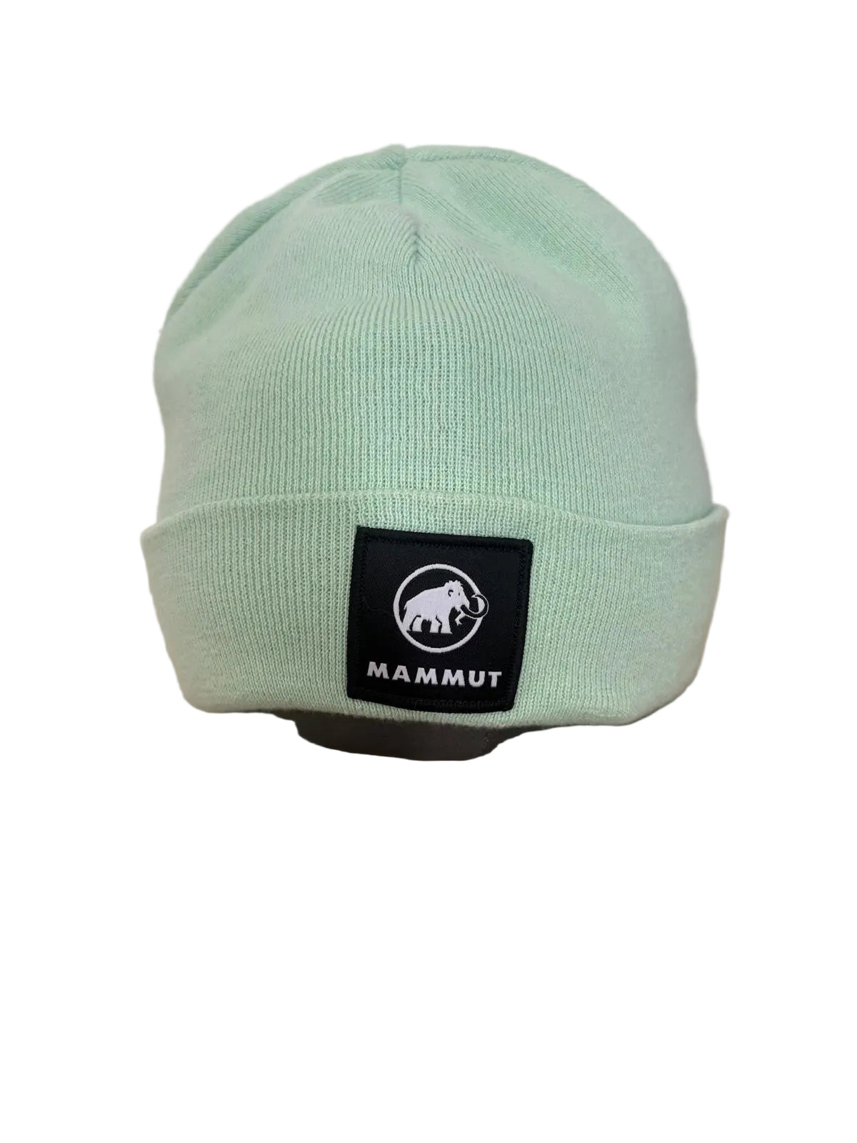 MAMMUT LOGO BEANIE — MINT GREEN